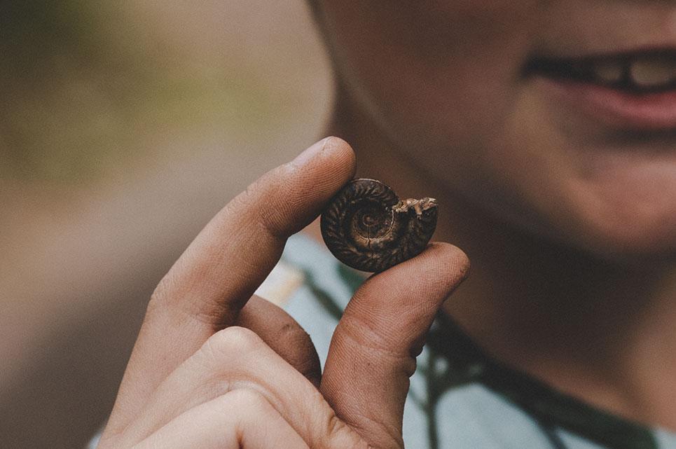 Geokids Ekehagens Forntidsby Fossil